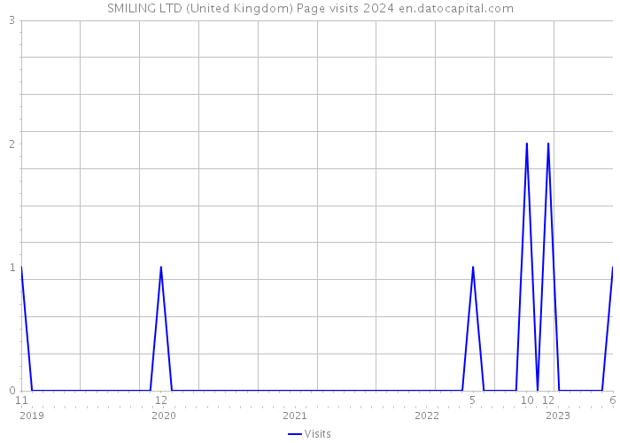 SMILING LTD (United Kingdom) Page visits 2024 