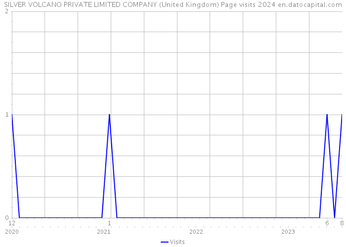 SILVER VOLCANO PRIVATE LIMITED COMPANY (United Kingdom) Page visits 2024 
