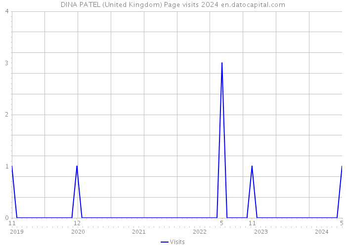 DINA PATEL (United Kingdom) Page visits 2024 