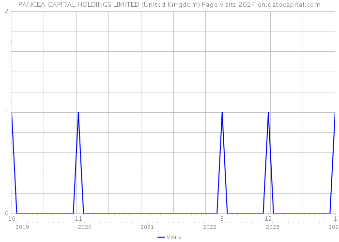 PANGEA CAPITAL HOLDINGS LIMITED (United Kingdom) Page visits 2024 