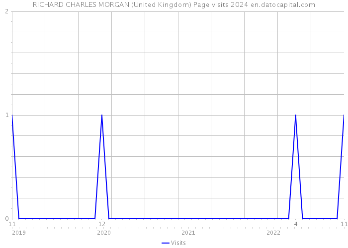 RICHARD CHARLES MORGAN (United Kingdom) Page visits 2024 