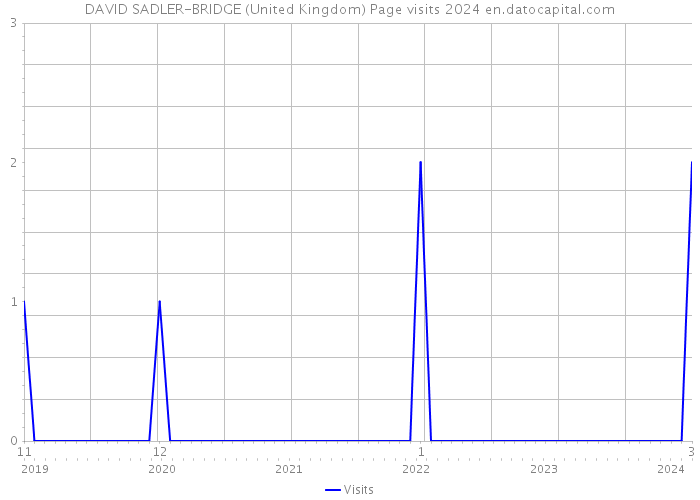 DAVID SADLER-BRIDGE (United Kingdom) Page visits 2024 