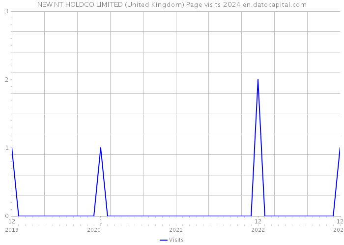 NEW NT HOLDCO LIMITED (United Kingdom) Page visits 2024 