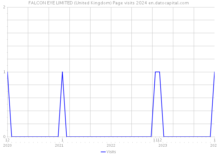 FALCON EYE LIMITED (United Kingdom) Page visits 2024 