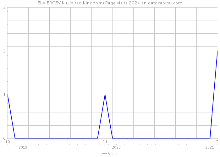 ELA ERCEVIK (United Kingdom) Page visits 2024 