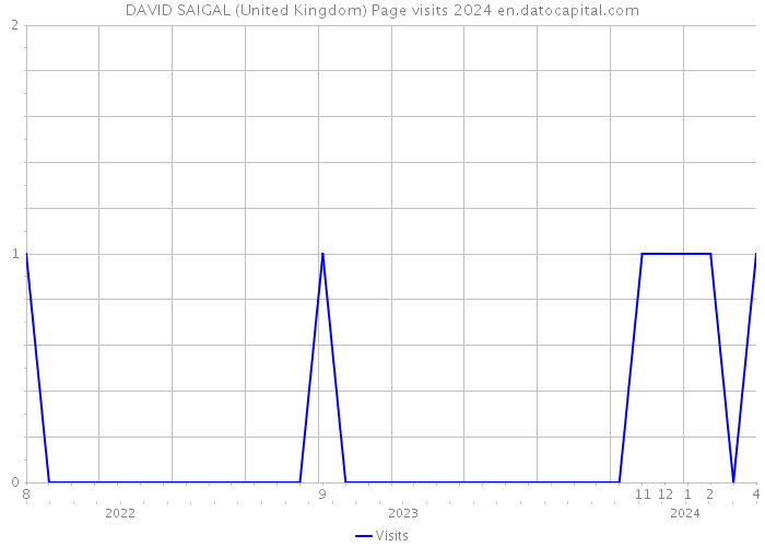 DAVID SAIGAL (United Kingdom) Page visits 2024 