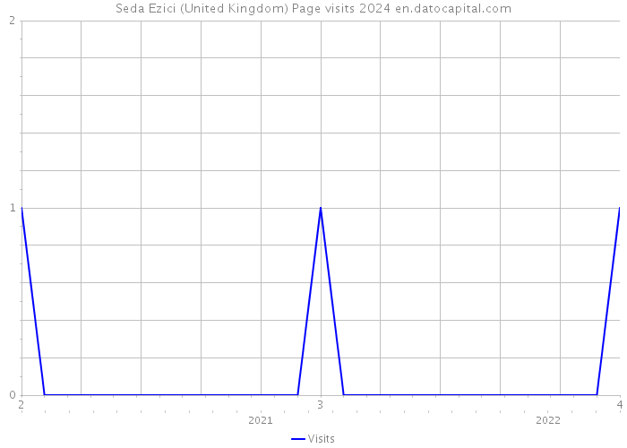 Seda Ezici (United Kingdom) Page visits 2024 