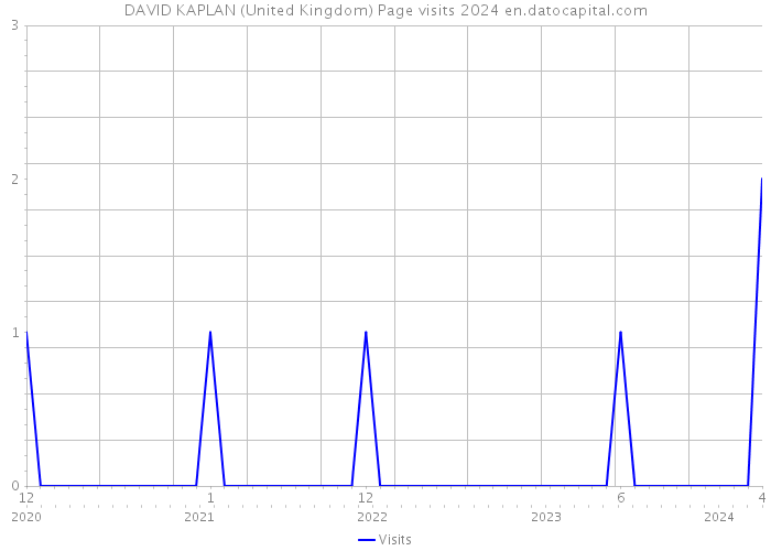 DAVID KAPLAN (United Kingdom) Page visits 2024 