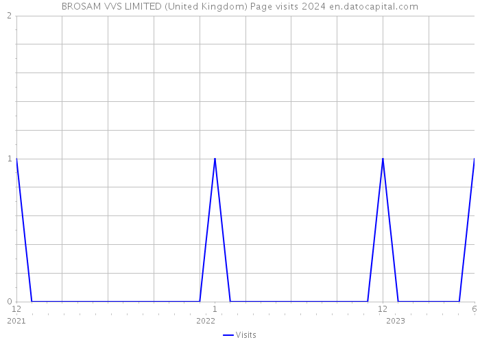 BROSAM VVS LIMITED (United Kingdom) Page visits 2024 