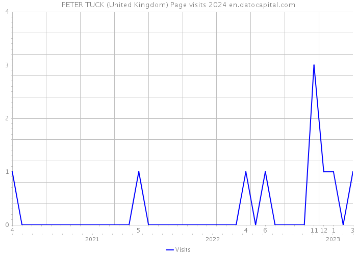 PETER TUCK (United Kingdom) Page visits 2024 