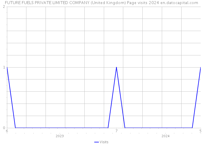 FUTURE FUELS PRIVATE LIMITED COMPANY (United Kingdom) Page visits 2024 