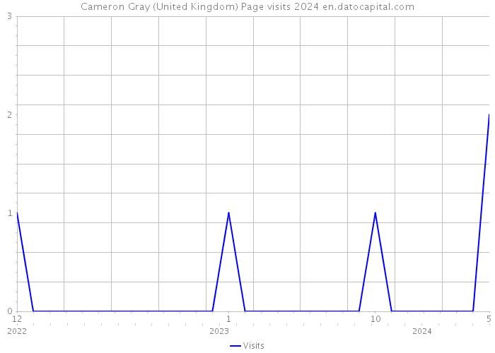 Cameron Gray (United Kingdom) Page visits 2024 