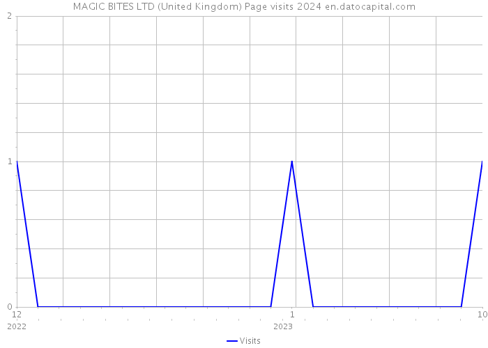 MAGIC BITES LTD (United Kingdom) Page visits 2024 