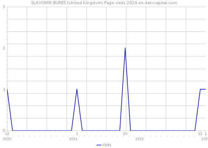 SLAVOMIR BURES (United Kingdom) Page visits 2024 