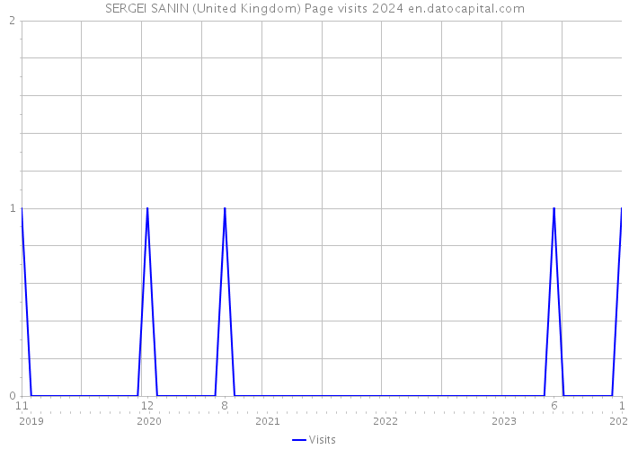 SERGEI SANIN (United Kingdom) Page visits 2024 