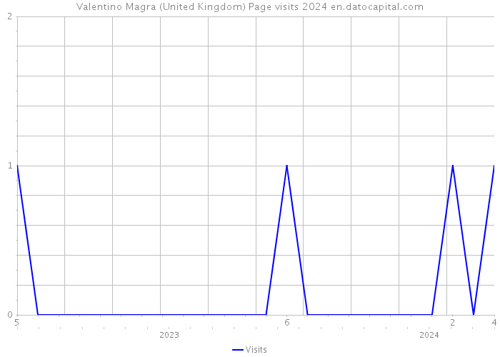 Valentino Magra (United Kingdom) Page visits 2024 