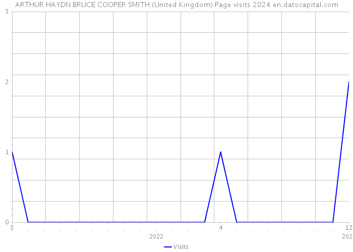 ARTHUR HAYDN BRUCE COOPER SMITH (United Kingdom) Page visits 2024 