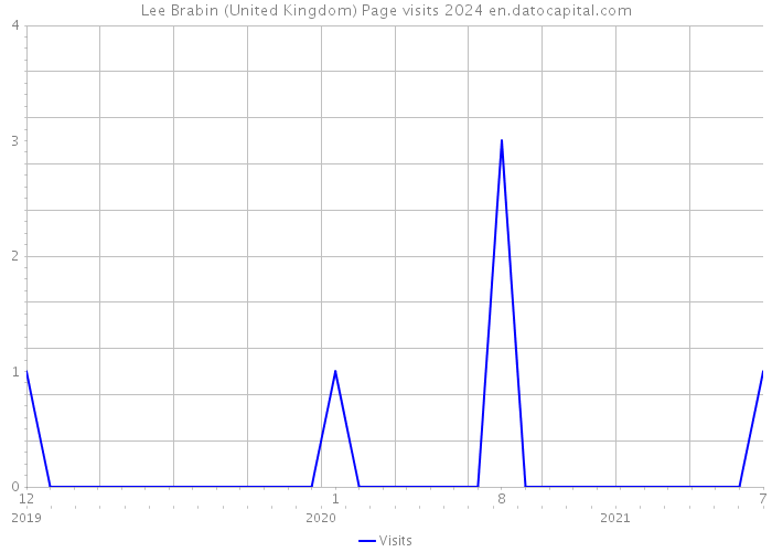 Lee Brabin (United Kingdom) Page visits 2024 