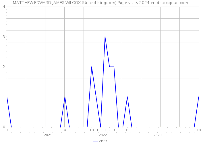 MATTHEW EDWARD JAMES WILCOX (United Kingdom) Page visits 2024 
