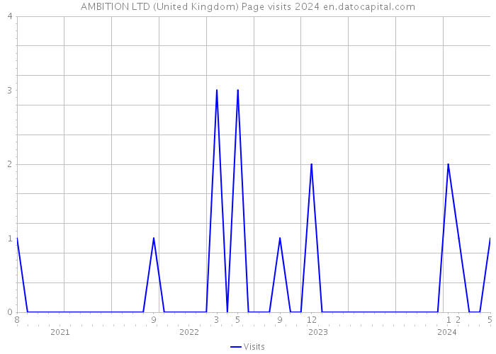 AMBITION LTD (United Kingdom) Page visits 2024 