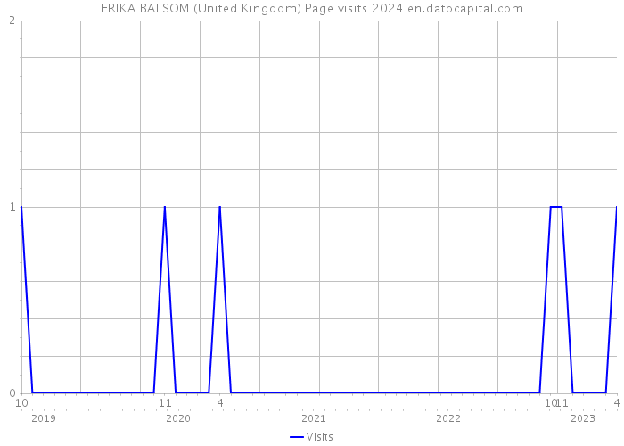 ERIKA BALSOM (United Kingdom) Page visits 2024 