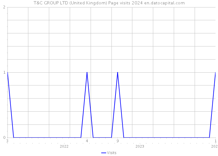 T&C GROUP LTD (United Kingdom) Page visits 2024 