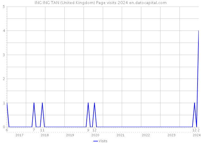 ING ING TAN (United Kingdom) Page visits 2024 