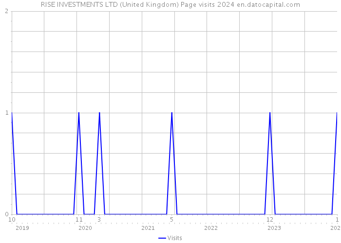 RISE INVESTMENTS LTD (United Kingdom) Page visits 2024 
