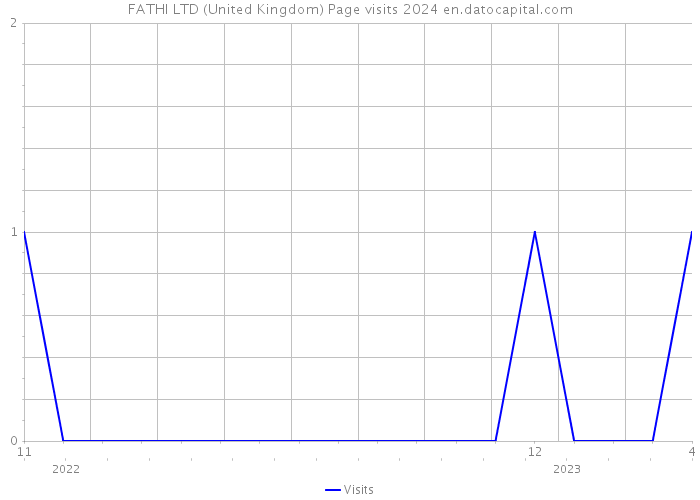 FATHI LTD (United Kingdom) Page visits 2024 