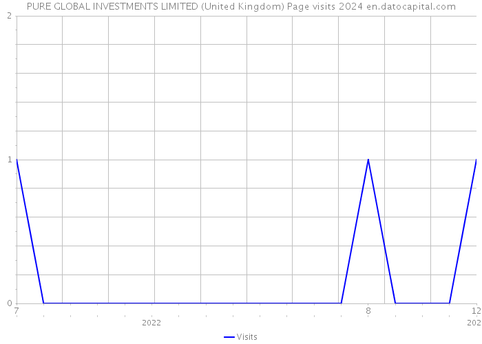 PURE GLOBAL INVESTMENTS LIMITED (United Kingdom) Page visits 2024 