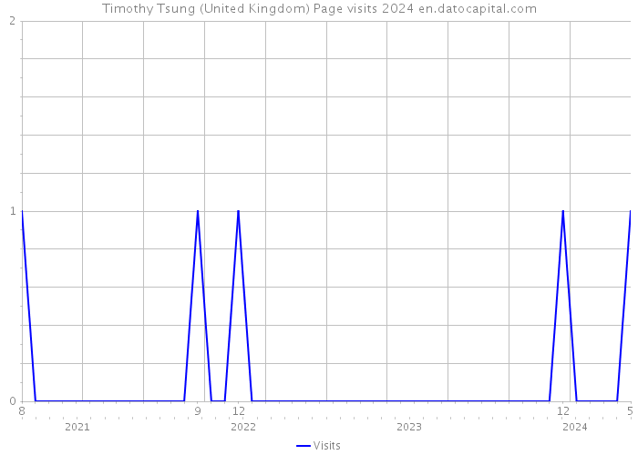 Timothy Tsung (United Kingdom) Page visits 2024 