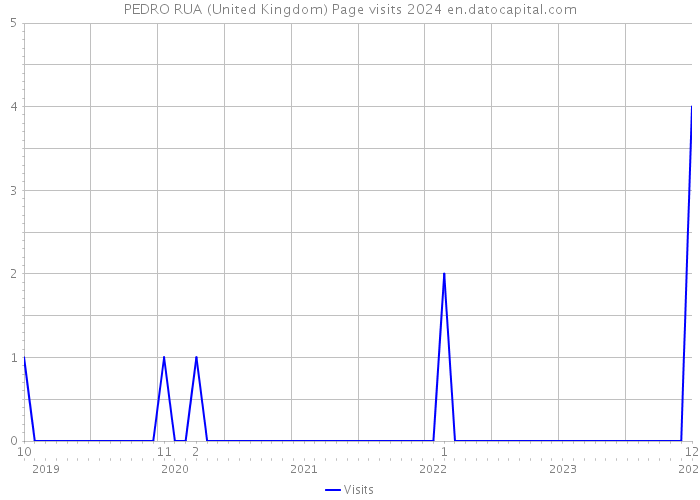 PEDRO RUA (United Kingdom) Page visits 2024 