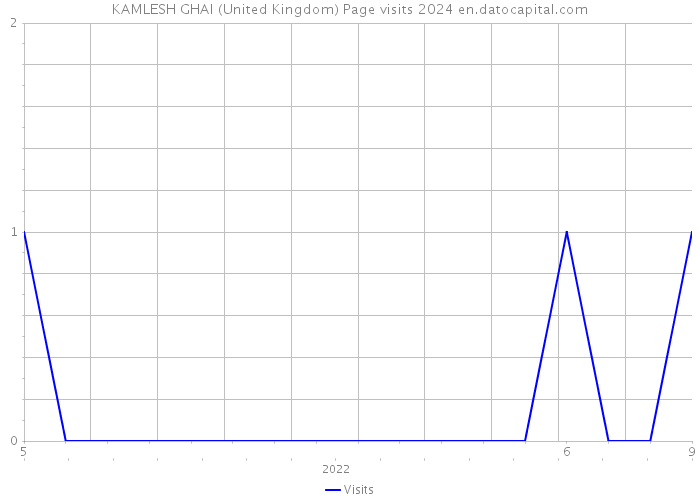 KAMLESH GHAI (United Kingdom) Page visits 2024 