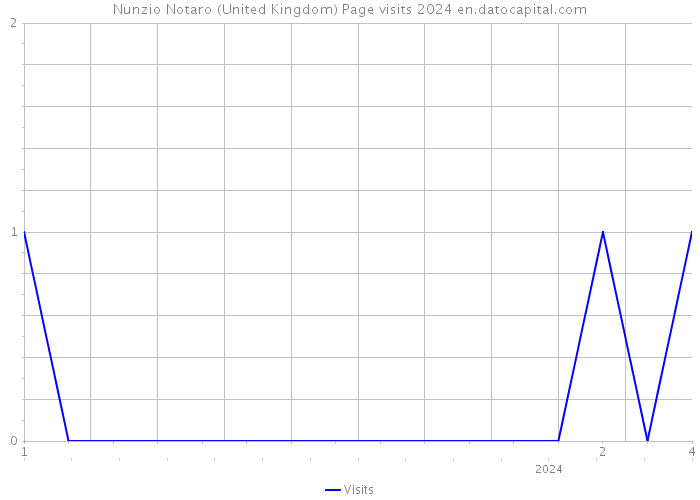 Nunzio Notaro (United Kingdom) Page visits 2024 