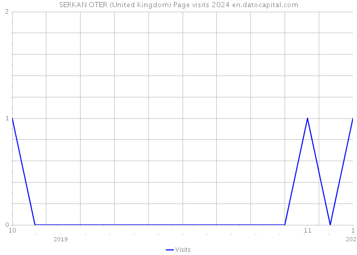 SERKAN OTER (United Kingdom) Page visits 2024 