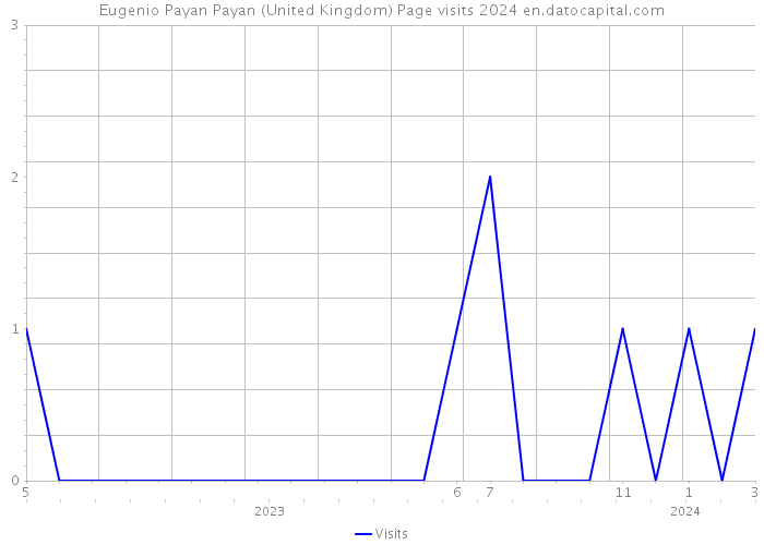 Eugenio Payan Payan (United Kingdom) Page visits 2024 