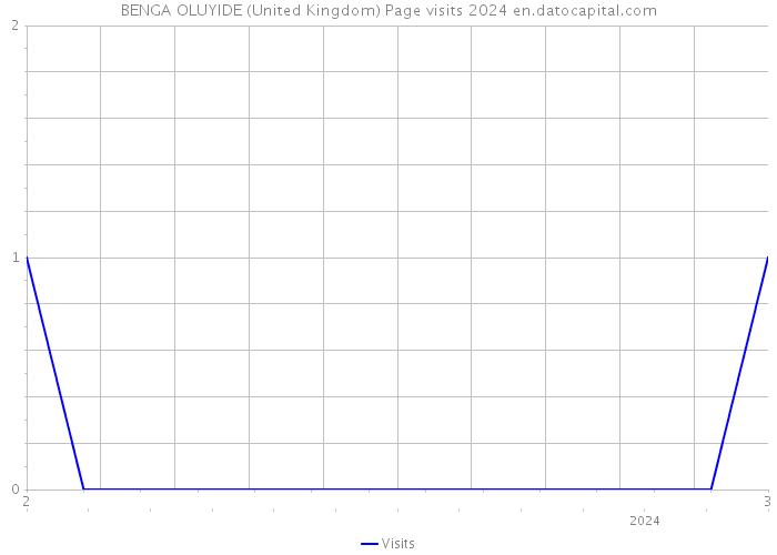 BENGA OLUYIDE (United Kingdom) Page visits 2024 