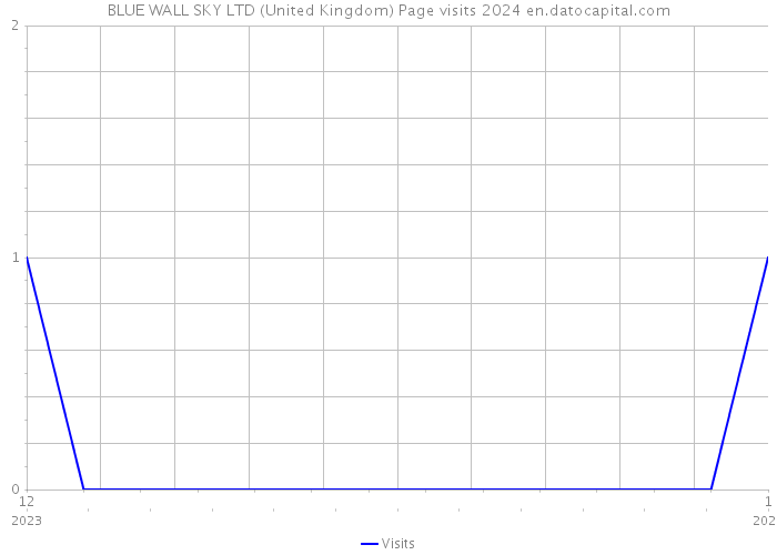 BLUE WALL SKY LTD (United Kingdom) Page visits 2024 