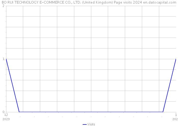 BO RUI TECHNOLOGY E-COMMERCE CO., LTD. (United Kingdom) Page visits 2024 