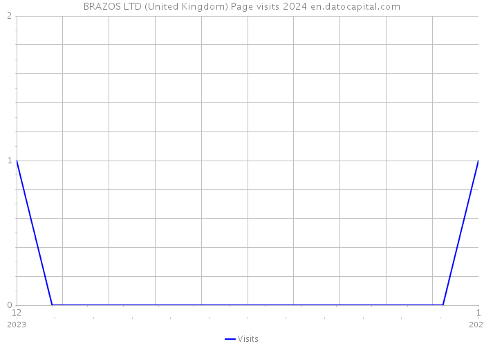 BRAZOS LTD (United Kingdom) Page visits 2024 