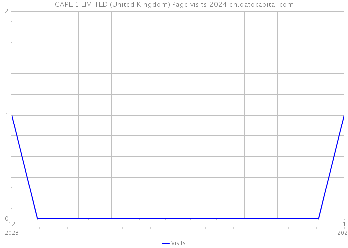 CAPE 1 LIMITED (United Kingdom) Page visits 2024 