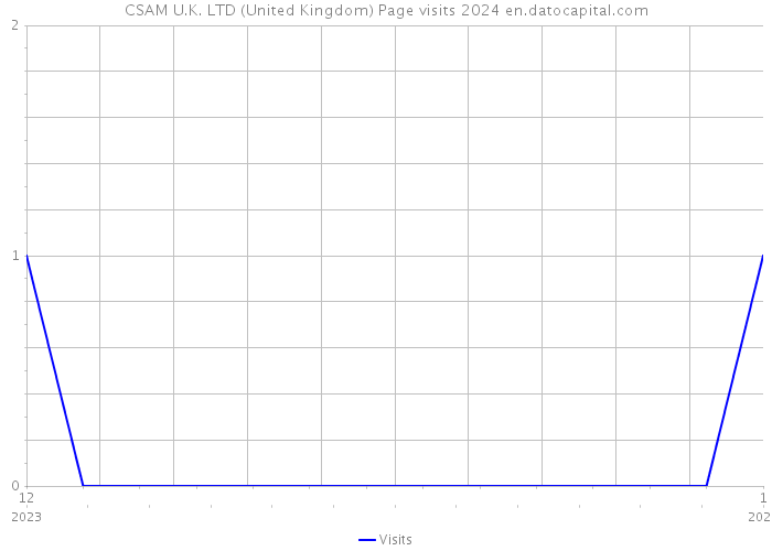 CSAM U.K. LTD (United Kingdom) Page visits 2024 