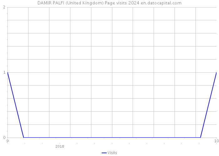 DAMIR PALFI (United Kingdom) Page visits 2024 