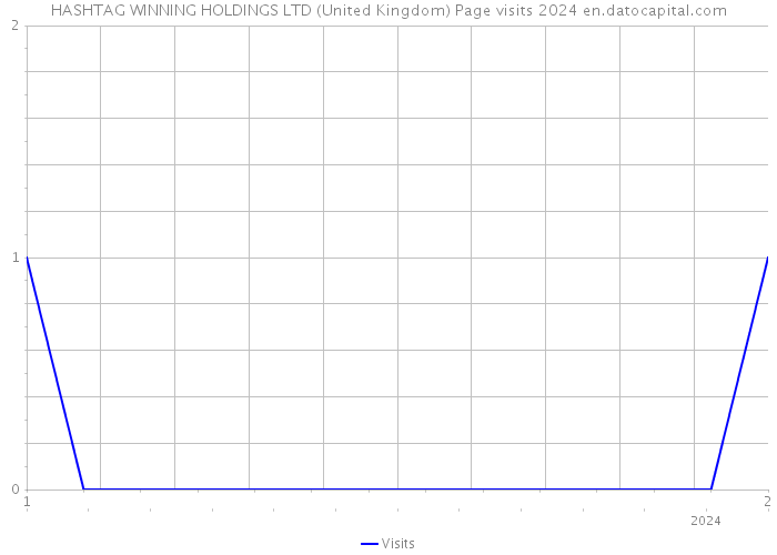HASHTAG WINNING HOLDINGS LTD (United Kingdom) Page visits 2024 