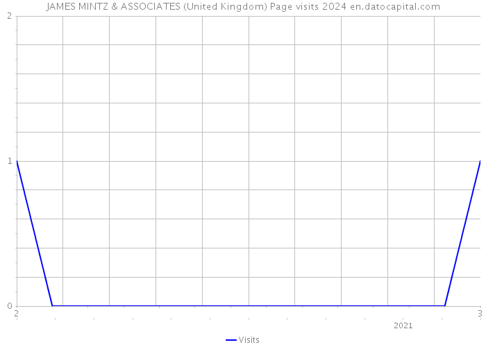 JAMES MINTZ & ASSOCIATES (United Kingdom) Page visits 2024 