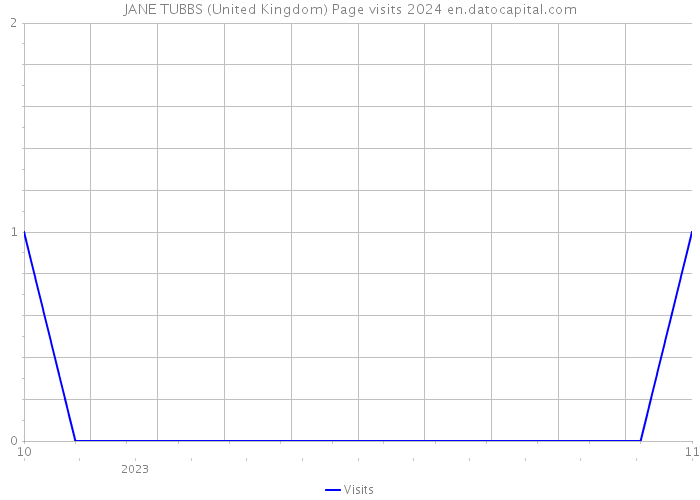 JANE TUBBS (United Kingdom) Page visits 2024 