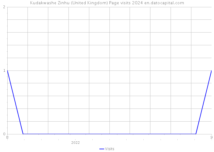 Kudakwashe Zinhu (United Kingdom) Page visits 2024 