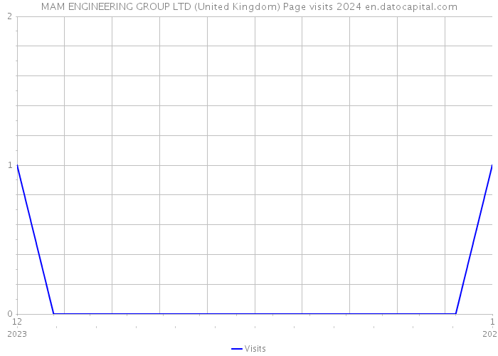 MAM ENGINEERING GROUP LTD (United Kingdom) Page visits 2024 