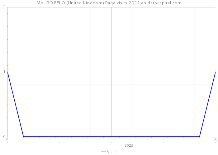 MAURO FEIJO (United Kingdom) Page visits 2024 