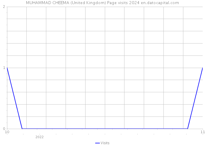 MUHAMMAD CHEEMA (United Kingdom) Page visits 2024 